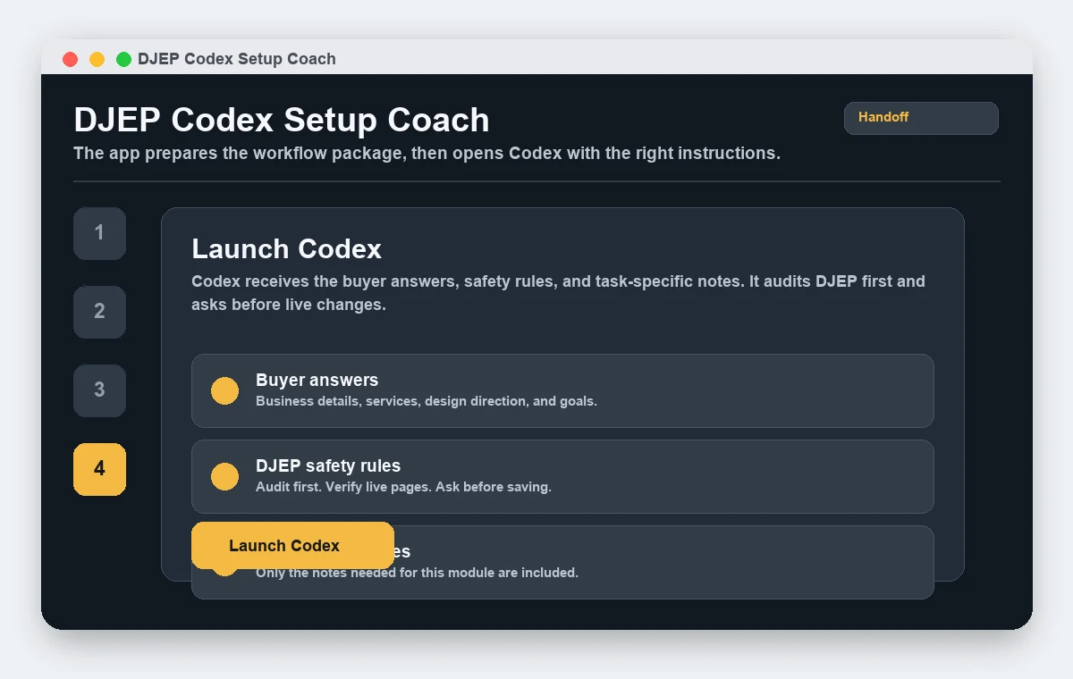 Launch Codex with a focused DJEP setup handoff.